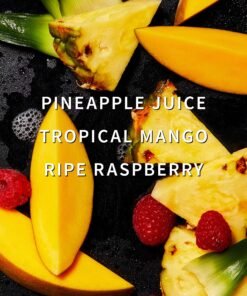Alternative view of Pineapple Mango Fragrance Booster